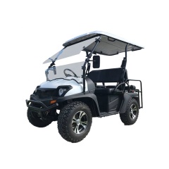 Good Quality 4 Seater Gasoline Golf Cart With Rear Back Seats