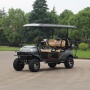 Chariot de golf électrique à grande vitesse professionnel de 4 roues Off Road 6 Seat avec le pare-brise