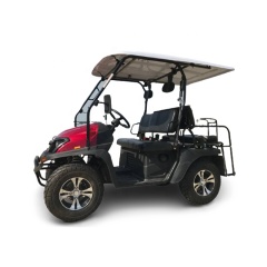 Voiturette de golf UTV à 4 passagers, modèles à essence et électriques