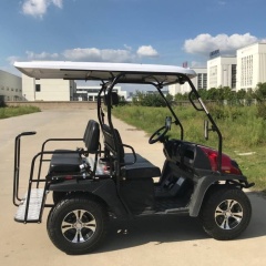 Carro de golf UTV de gasolina de calidad