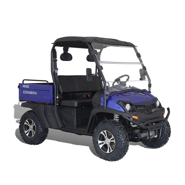 Nouvelle conception hors route 2 sièges chariot de golf de moteur à courant alternatif de frein hydraulique