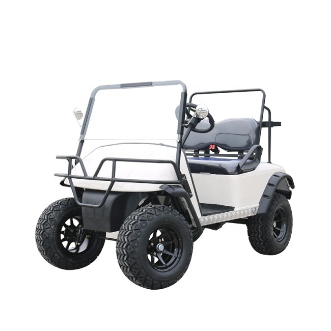 Professional 2 Seater Mini Golf Cart 48v With Large Storage Compartments