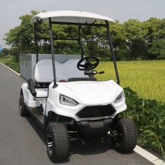 Professional Manufacturer High Performance Motorized 2 Seats Cart Golf With Cargo Truck