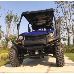 Carrito de golf de 4 plazas, UTV de gas con caja trasera
