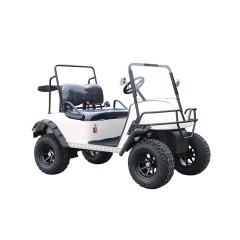 2 Passengers Electric buggy Golf Cart