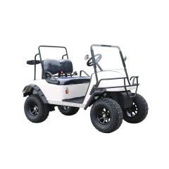 Voiturette de golf électrique pour 2 passagers