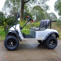 2 Passengers Electric buggy Golf Cart