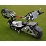 Scooter de golf eléctrico plegable con soportes para bolsas de golf
