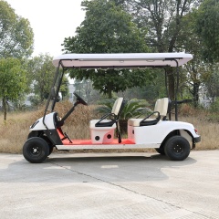 Wholesale Street Legal Sightseeing 4 Passenger Golf Electric Cart