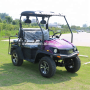 50cc/200cc/250cc 4-тактный UTV