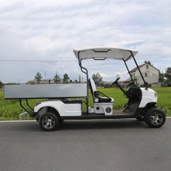 Hot Sale 2 Seat Battery Powered Electric Golf Cart Off Road With Cargo Box