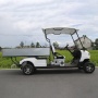 Hot Sale 2 Seat Battery Powered Electric Golf Cart Off Road With Cargo Box