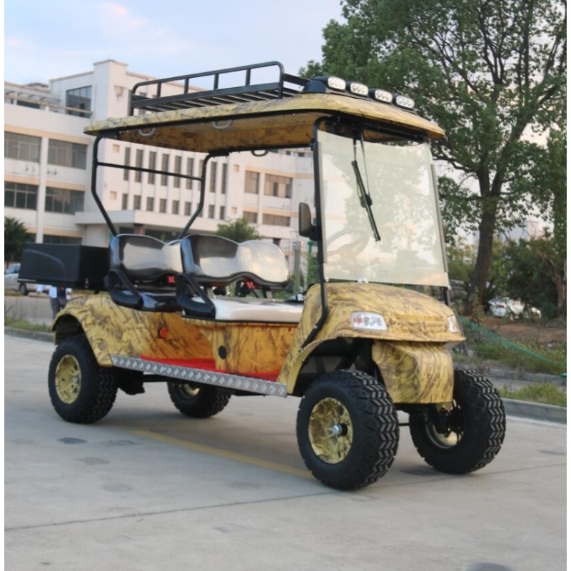 Voiturette de golf 4 places/voiturette de golf touristique avec support de toit à vendre