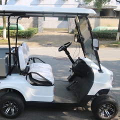 New Design Off Road Sightseeing 2 Person Electric Mini Golf Cart With Folding Clear Windshield