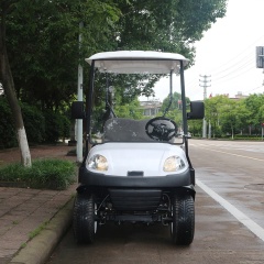 Hot Sale Farm Durable 5KW 48V Battery Powered 2 Seater Small Golf Cart