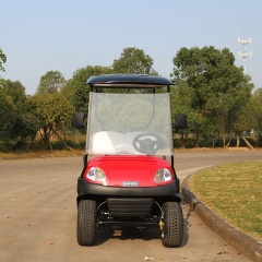 Hot Sale Farm Durable 5KW 48V Battery Powered 2 Seater Small Golf Cart