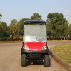 Hot Sale Farm Durable 5KW 48V Battery Powered 2 Seater Small Golf Cart