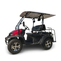 New 4 passenger UTV Electric Golf Cart with rear back seater