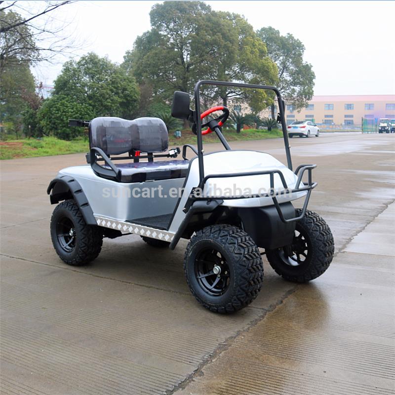 2 Passengers Electric buggy Golf Cart