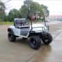 2 Passengers Electric buggy Golf Cart