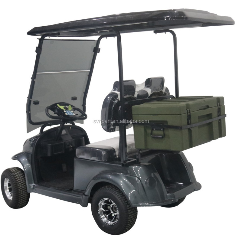 Nouveau modèle de voiturette de golf 2 places bon marché et de haute qualité