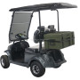 Nouveau modèle de voiturette de golf 2 places bon marché et de haute qualité