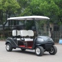 Chariot de golf juridique de service de rue électrique d'entraînement de roue du moteur 5 à courant alternatif 4KW puissant