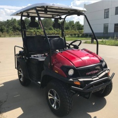 Quality Gasoline UTV Golf Cart