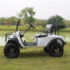 Buggy de golf électrique 2 places sans toit et kits d'éclairage