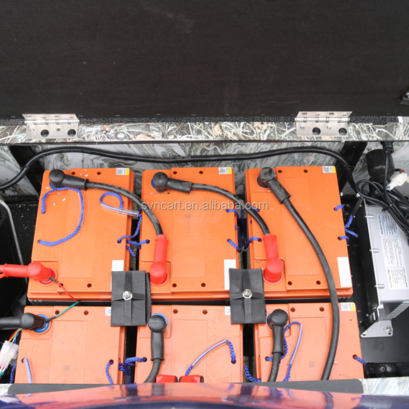 Electric truck cargo golf cart,customize 2 seater electric cargo cart