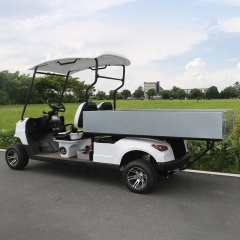 Hot Sale 2 Seat Battery Powered Electric Golf Cart Off Road With Cargo Box