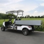 Hot Sale 2 Seat Battery Powered Electric Golf Cart Off Road With Cargo Box
