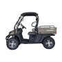 china made street legal electric UTV atv for sale