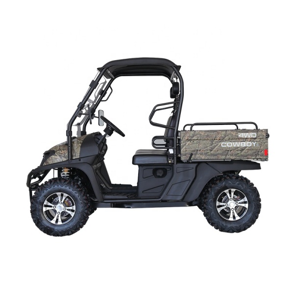 Nouvelle conception hors route 2 sièges chariot de golf de moteur à courant alternatif de frein hydraulique