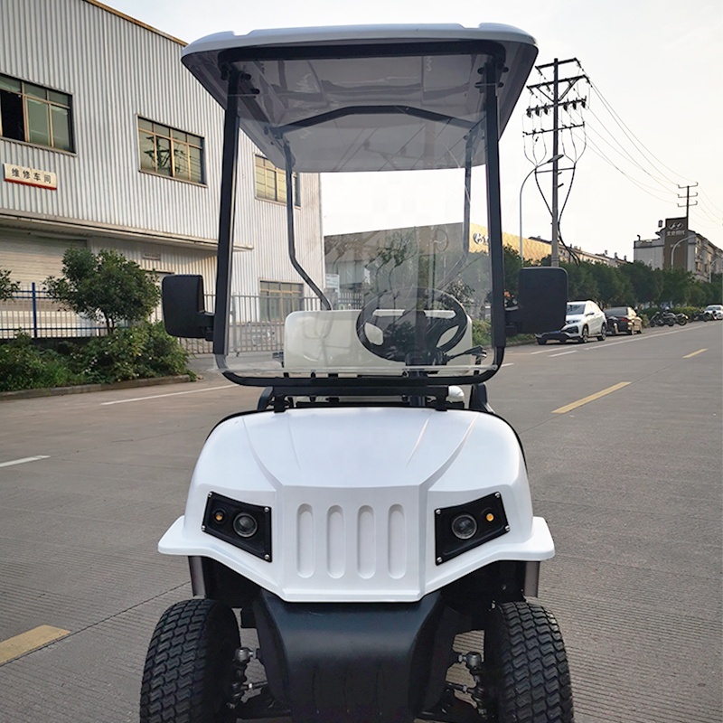 Cheap Price 2 Passenger 4 Wheel Drive Mini Electric China Golf Cart