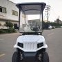 Cheap Price 2 Passenger 4 Wheel Drive Mini Electric China Golf Cart