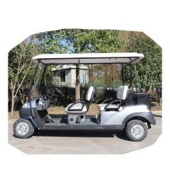 Powerful 5KW AC Motor 4 Wheel Drive Electric Street Legal Utility Golf Cart