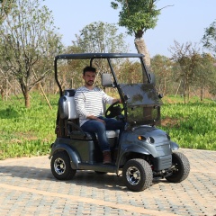 Single seater off-road 4 wheel drive mini golf cart for sale
