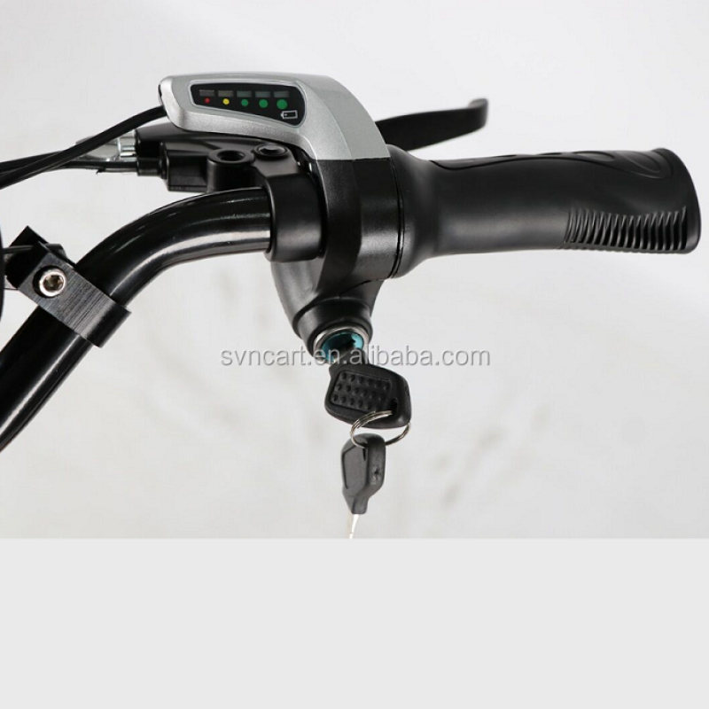 Electric golf trolley,Electric golf scooter