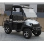 50cc/200cc/250cc 4-тактный UTV