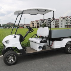 Hot Sale 2 Seat Battery Powered Electric Golf Cart Off Road With Cargo Box