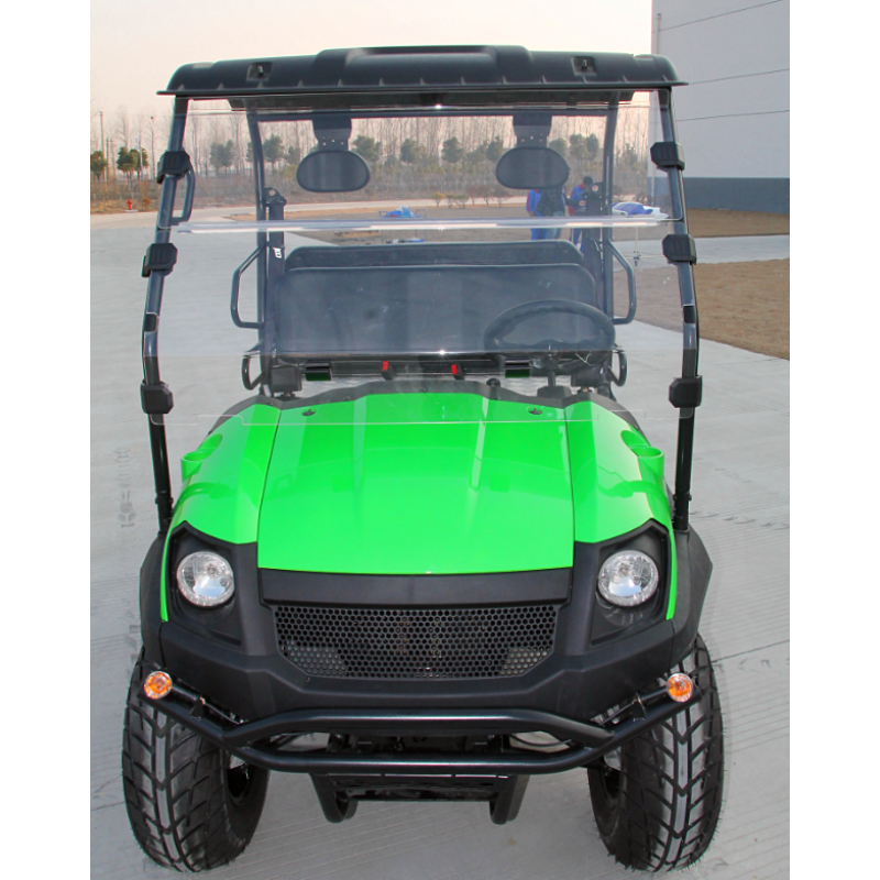 4-местный бензиновый UTV Golf Cart, шины для автомобилей