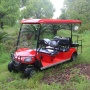 Cheap Farm Utility 6 Seat 4 Wheel Drive Electric Street Legal Golf Carts