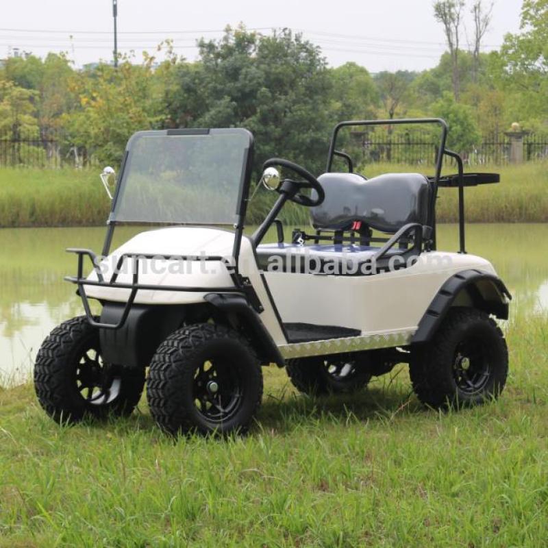 2 seater Electric Golf buggy without Roof and light kits