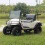 2 seater Electric Golf buggy without Roof and light kits