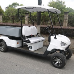 Off Road 4 Wheel Drive Street Legal 2 Person Electric Mini Golf Cart With Cargo
