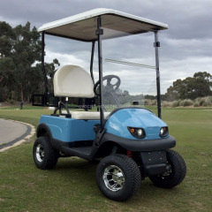 Mini carrito de golf eléctrico de un solo asiento de 1800 W, el carrito de golf más barato.