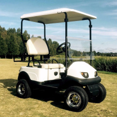 1800W Mini Single seat electric golf cart,Cheapest golf cart.