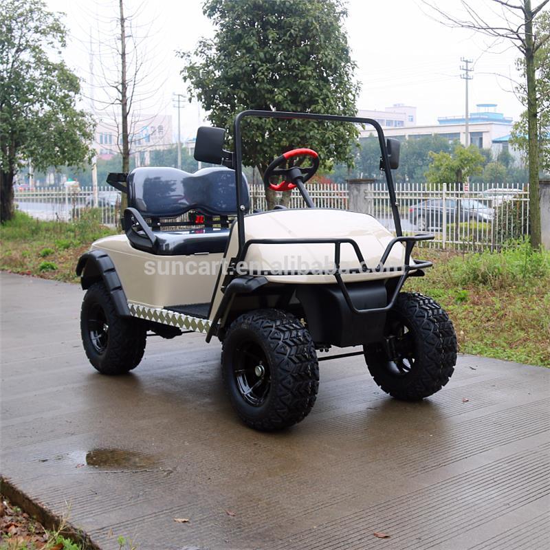 2 Passengers Electric buggy Golf Cart