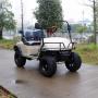 2 Passengers Electric buggy Golf Cart